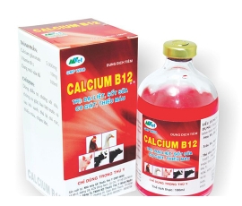 CALCIUM B12