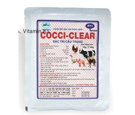 COCCI - CLEAR