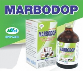 MARBODOP