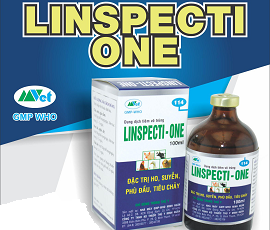 LINSPECTI ONE