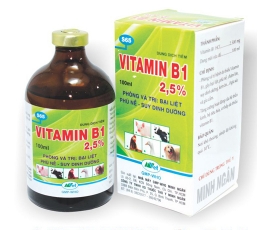 VITAMIN B1 2.5%